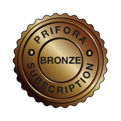 Abonnement Bronze – 32 Go de données cloud